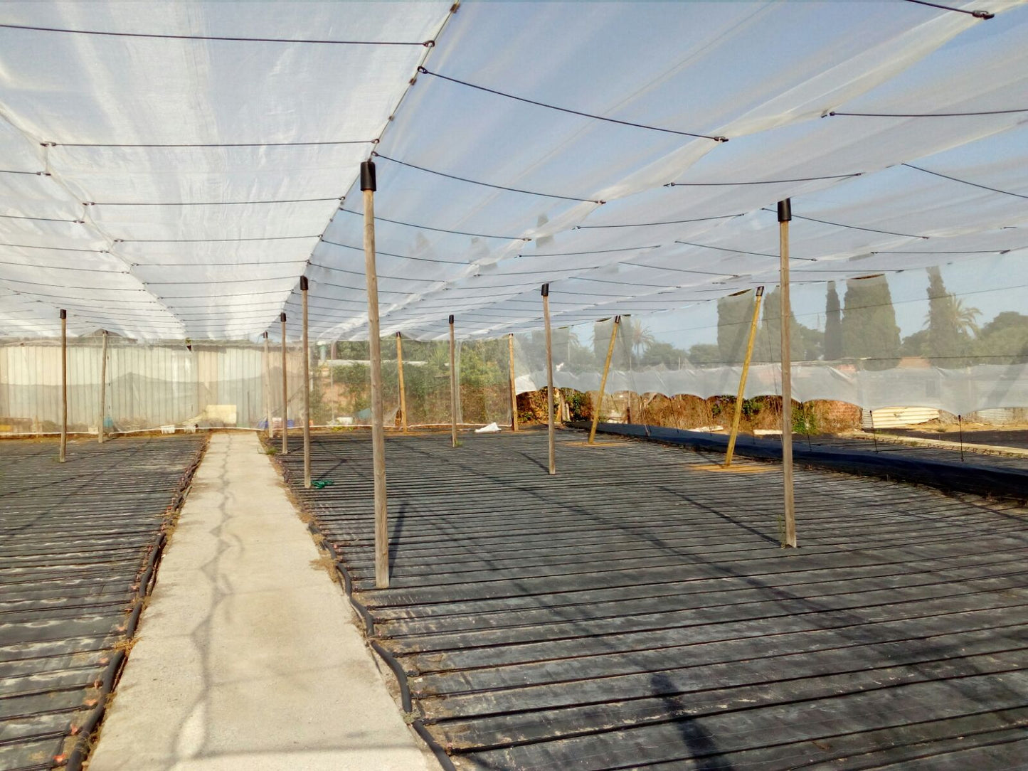 Malla anti hierba | Control eficaz de malas hierbas