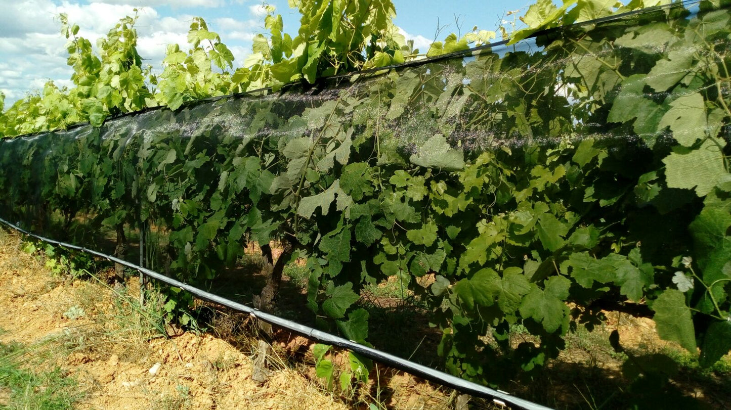 Malla antigranizo NovaNet® | Protección eficaz contra el granizo