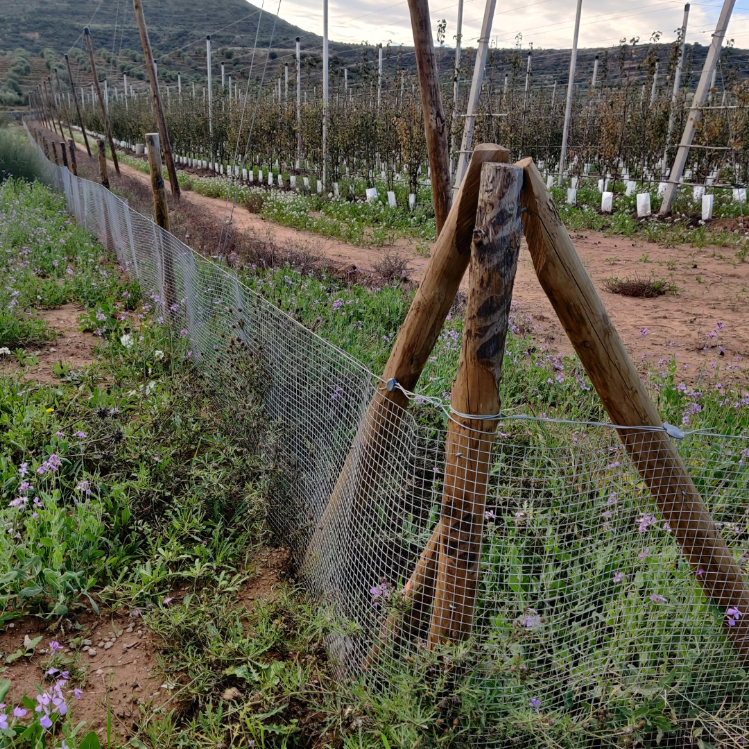 Malla conejera para protección de cultivos | Altura 80 a 130 cm – 20 cm Enterrada