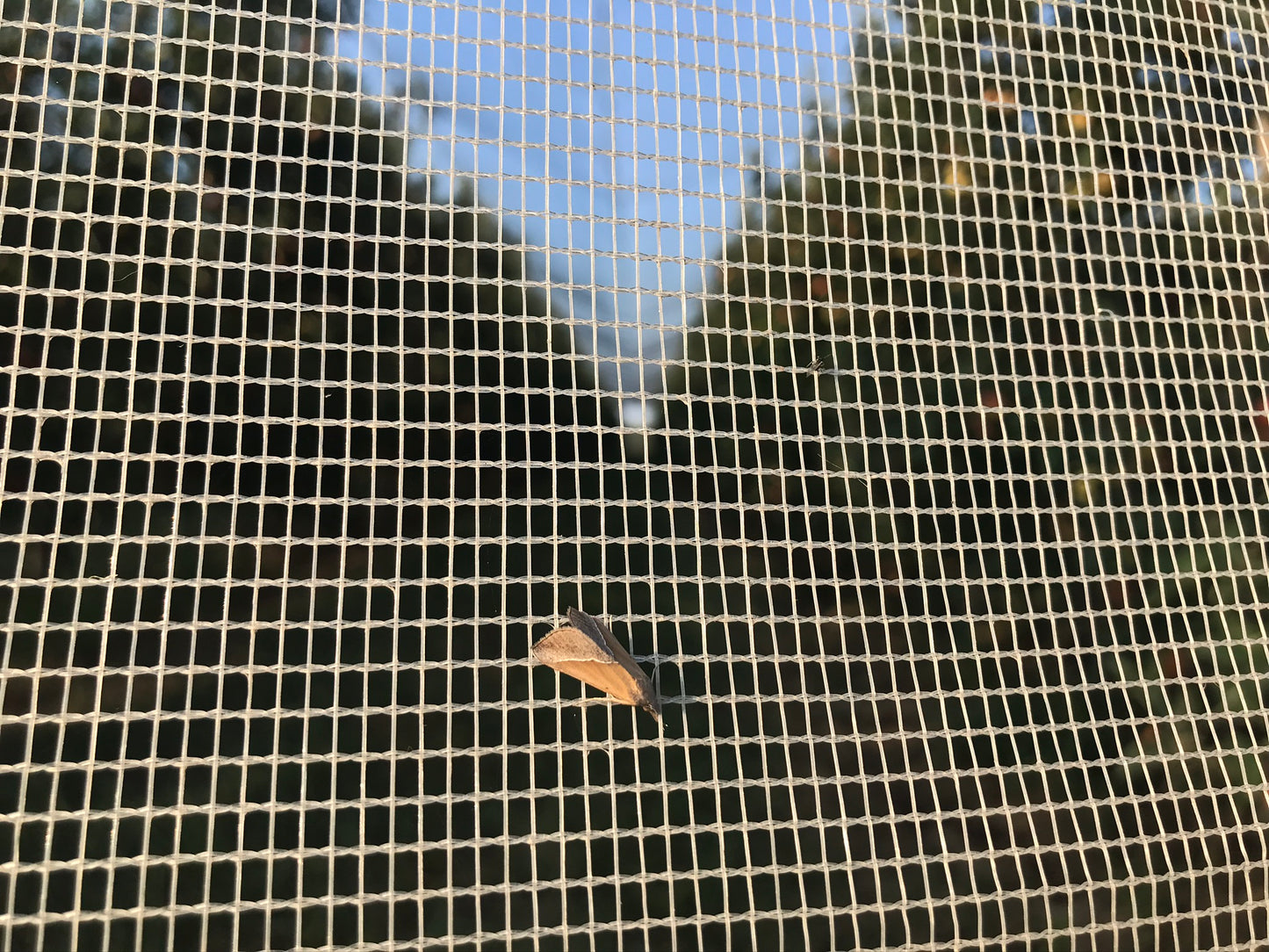 Malla anti insectos | Protección eficaz contra plagas