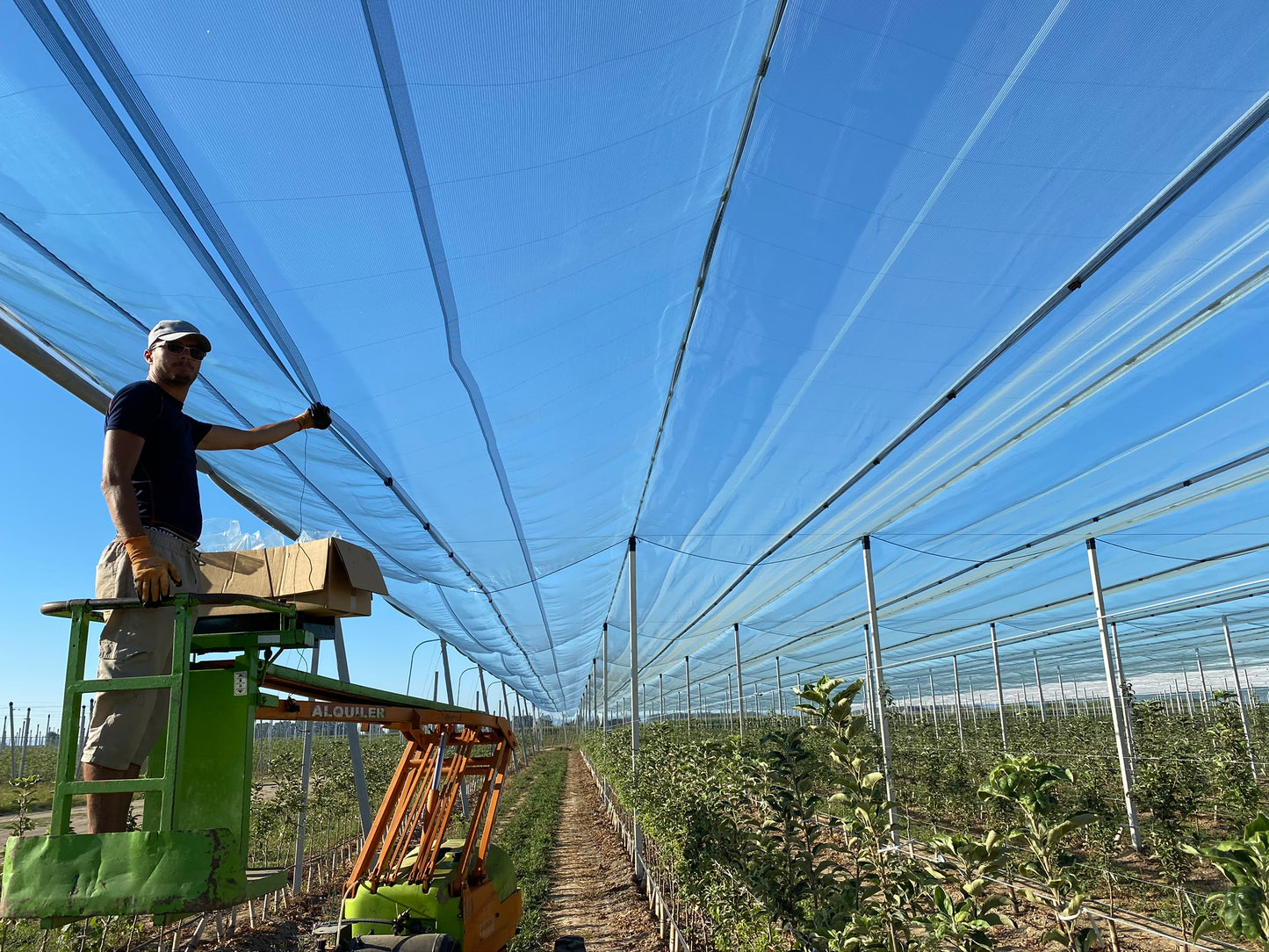 Malla antigranizo NovaNet® | Protección eficaz contra el granizo