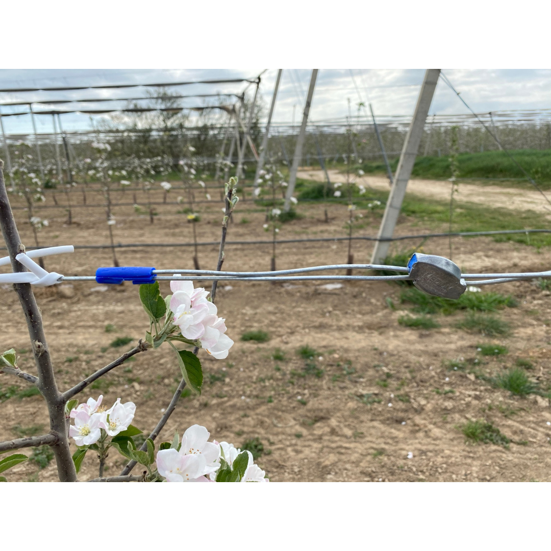 Gripple® para tensado de alambre | Small, medium y large + protector azul y tenaza de tensión