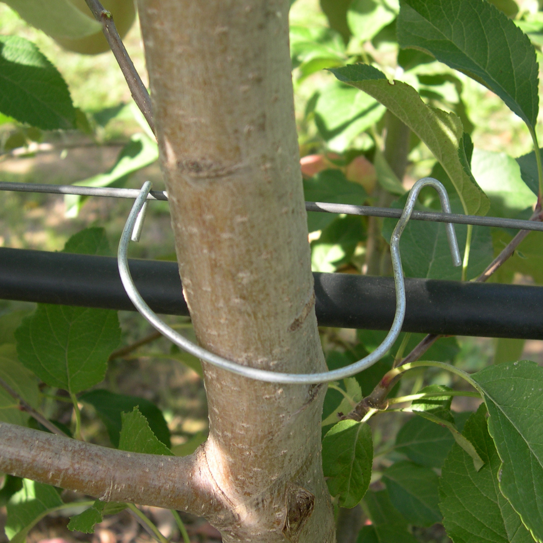 Clips de fijación para frutales | Hierro 60–90 mm y plástico 14,5 cm – Para hilos de 2,2 a 3 mm
