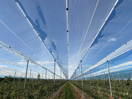 Durabilidad de la malla antigranizo: cuánto dura y cómo alargar su vida | Novafrut