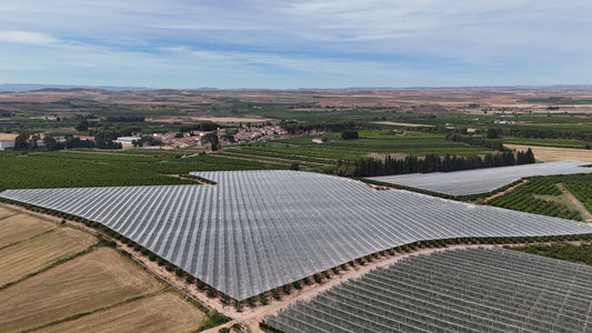 ¿Cuánto cuesta instalar una malla antigranizo? Factores clave | Novafrut