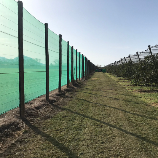 5 señales de que necesitas una malla cortavientos para proteger tus frutales | Novafrut