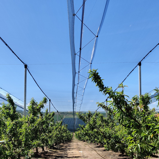 mallas antigranizo para frutales