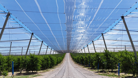 7 errores comunes al instalar una malla antigranizo (y cómo evitarlos) | Novafrut