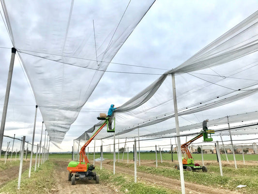 Malla antigranizo en Lleida: instalación profesional para frutales | Novafrut