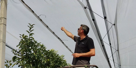 Sistema Winterfix: cómo plegar tu malla antigranizo sin plataformas | Novafrut