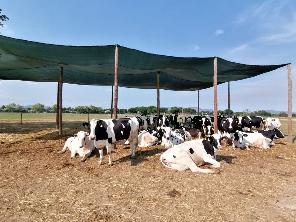 Malla de sombreo | Protección contra el exceso de sol