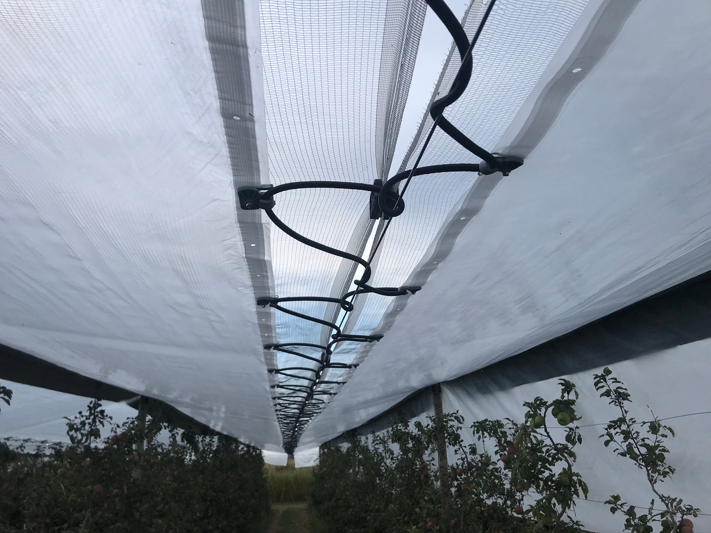 Plástico antilluvia | Protección impermeable para cultivos